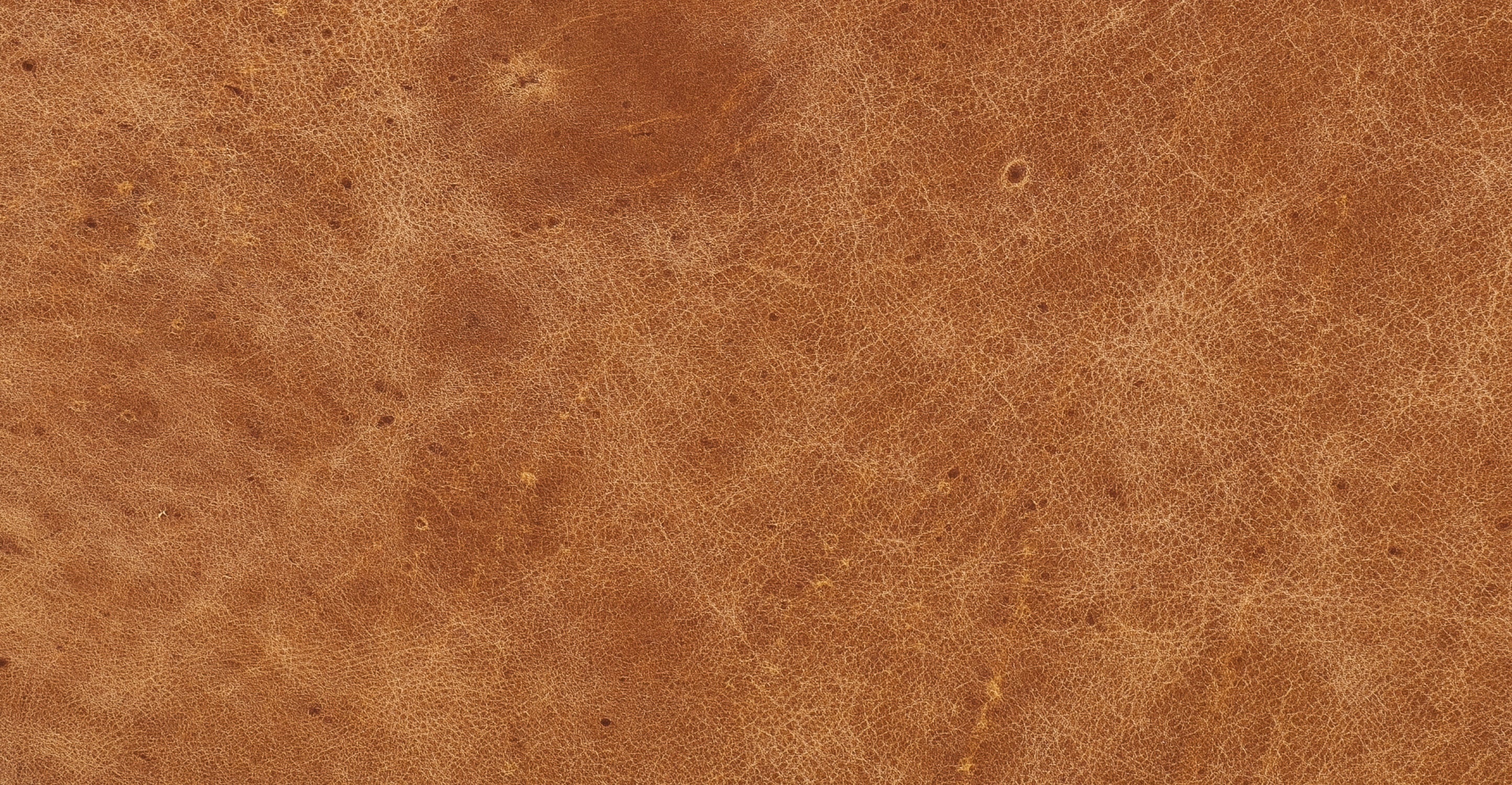 Bo Lounge Chair - Image 20