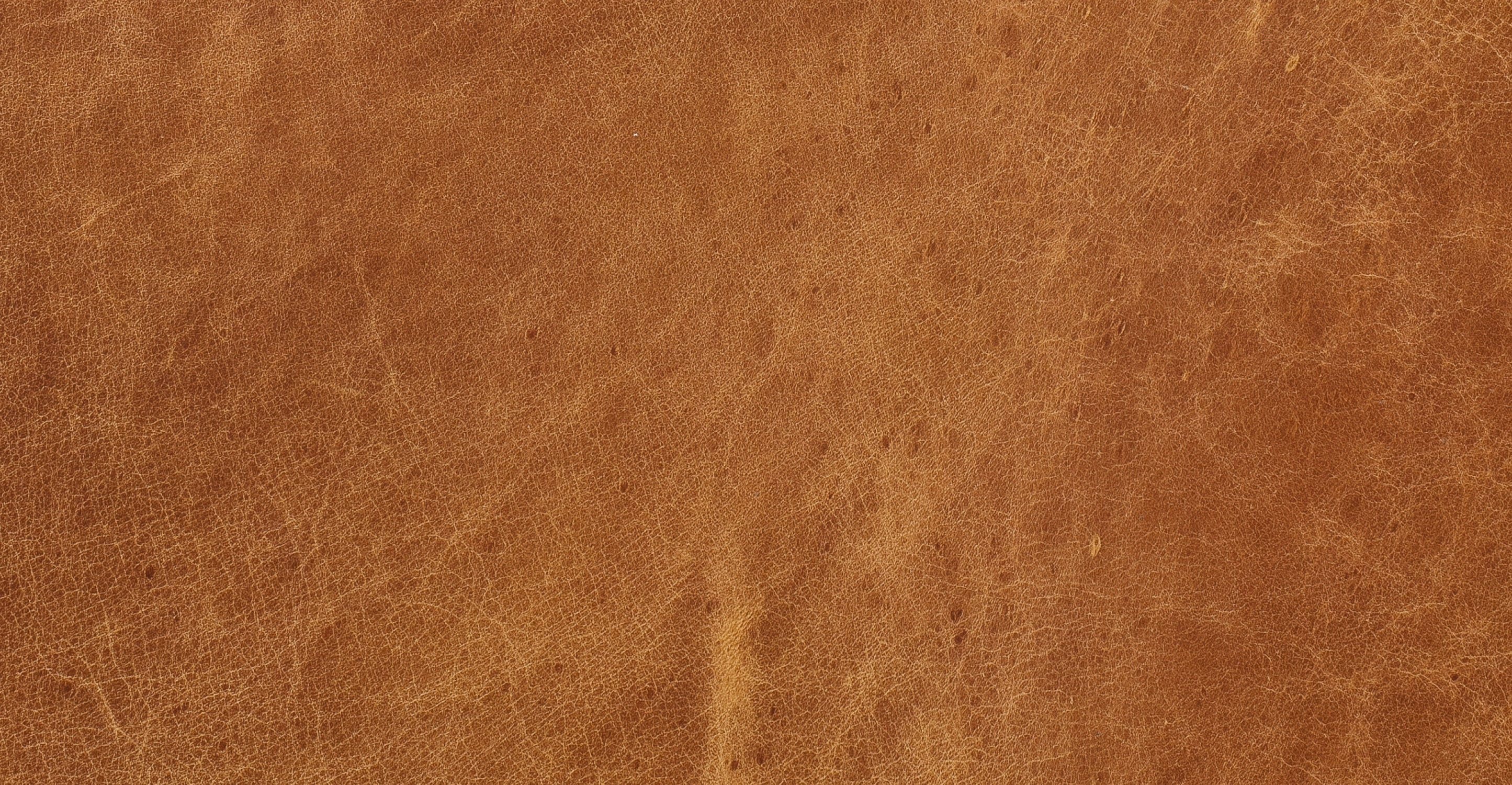 Cura 53.5" Bench - Image 16