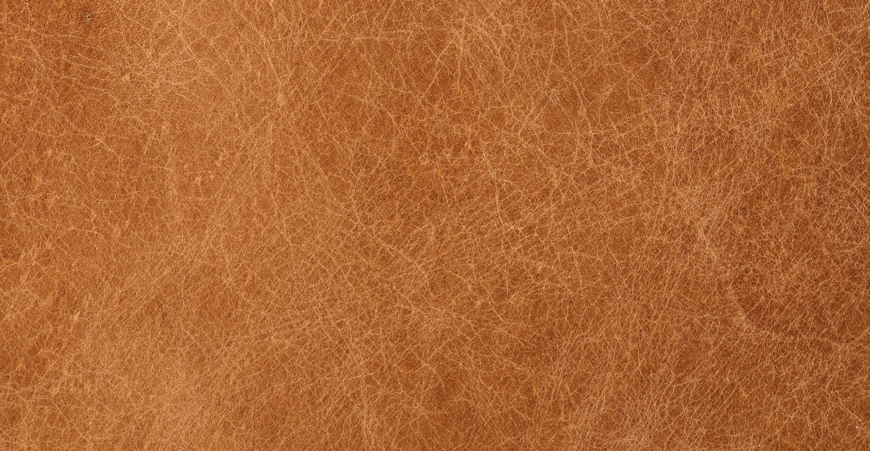 Dobla Throw Pillow - Image 18