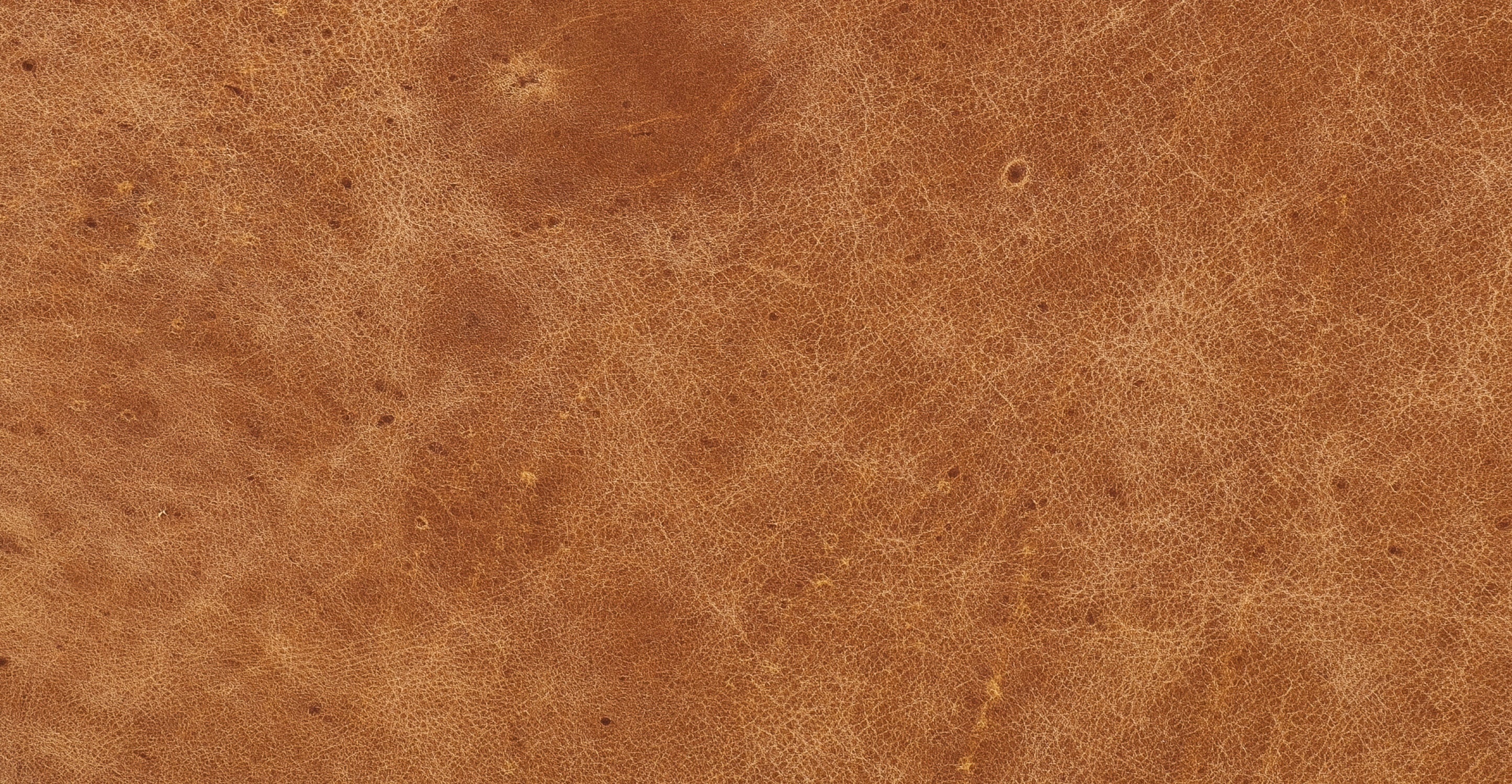 Giza Lounge Chair - Image 41