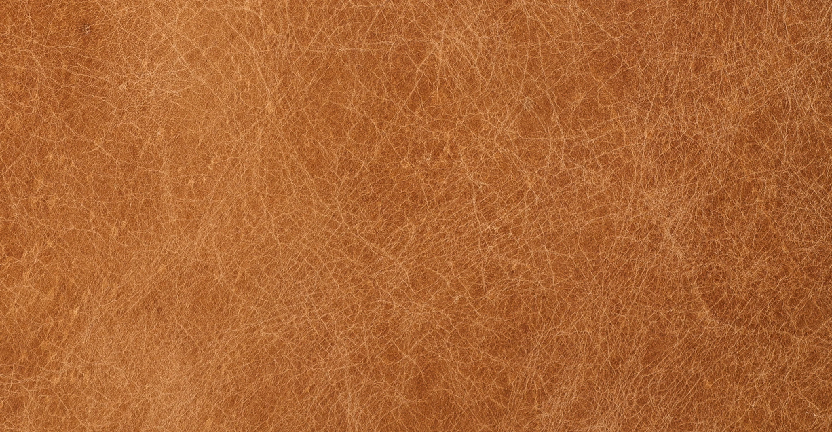 Jasper Daybed - Image 16