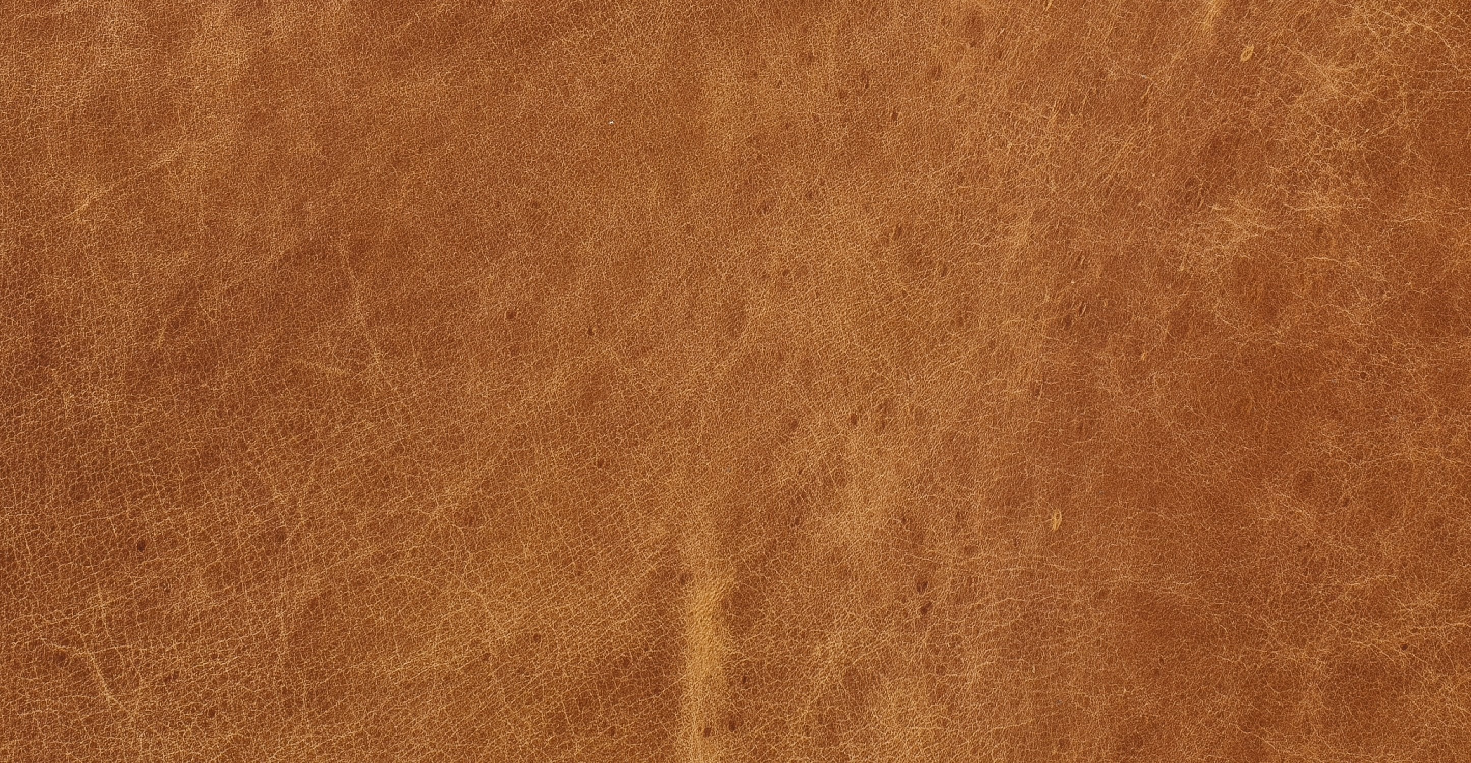 Lyon Lounge Chair - Image 17