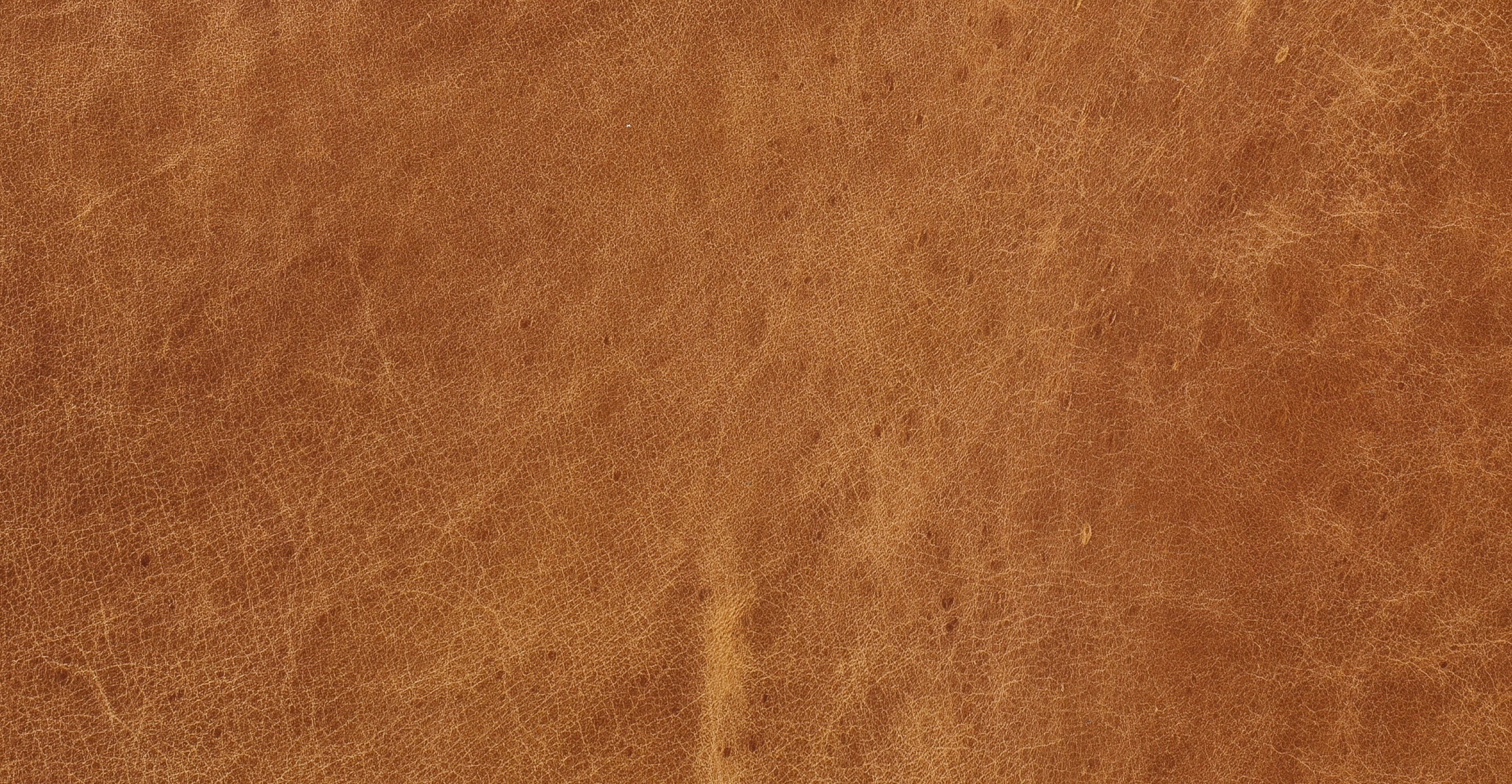 Lyon Sofa - Image 16