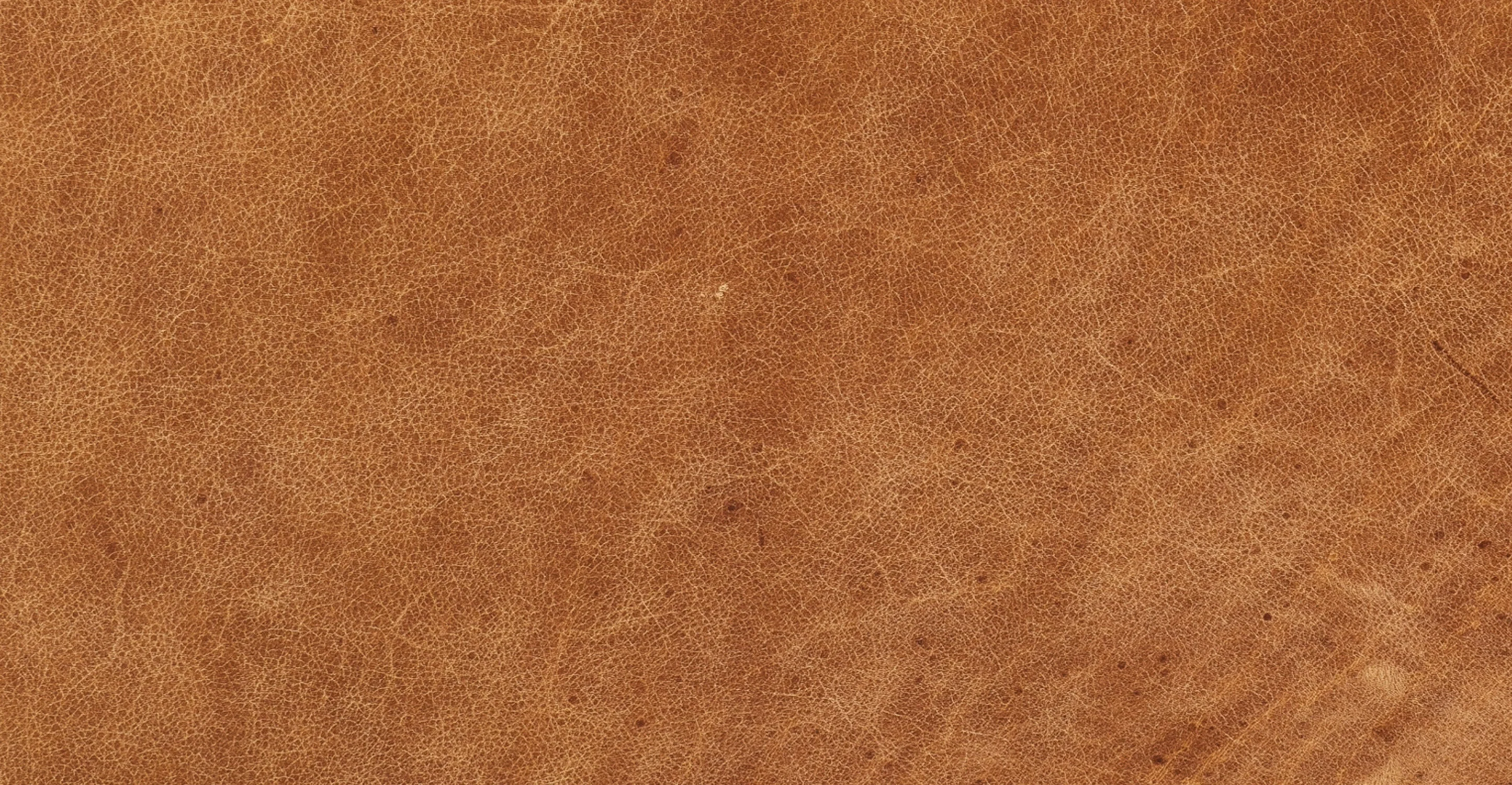 Napa Left-Facing Sectional Sofa - Image 16