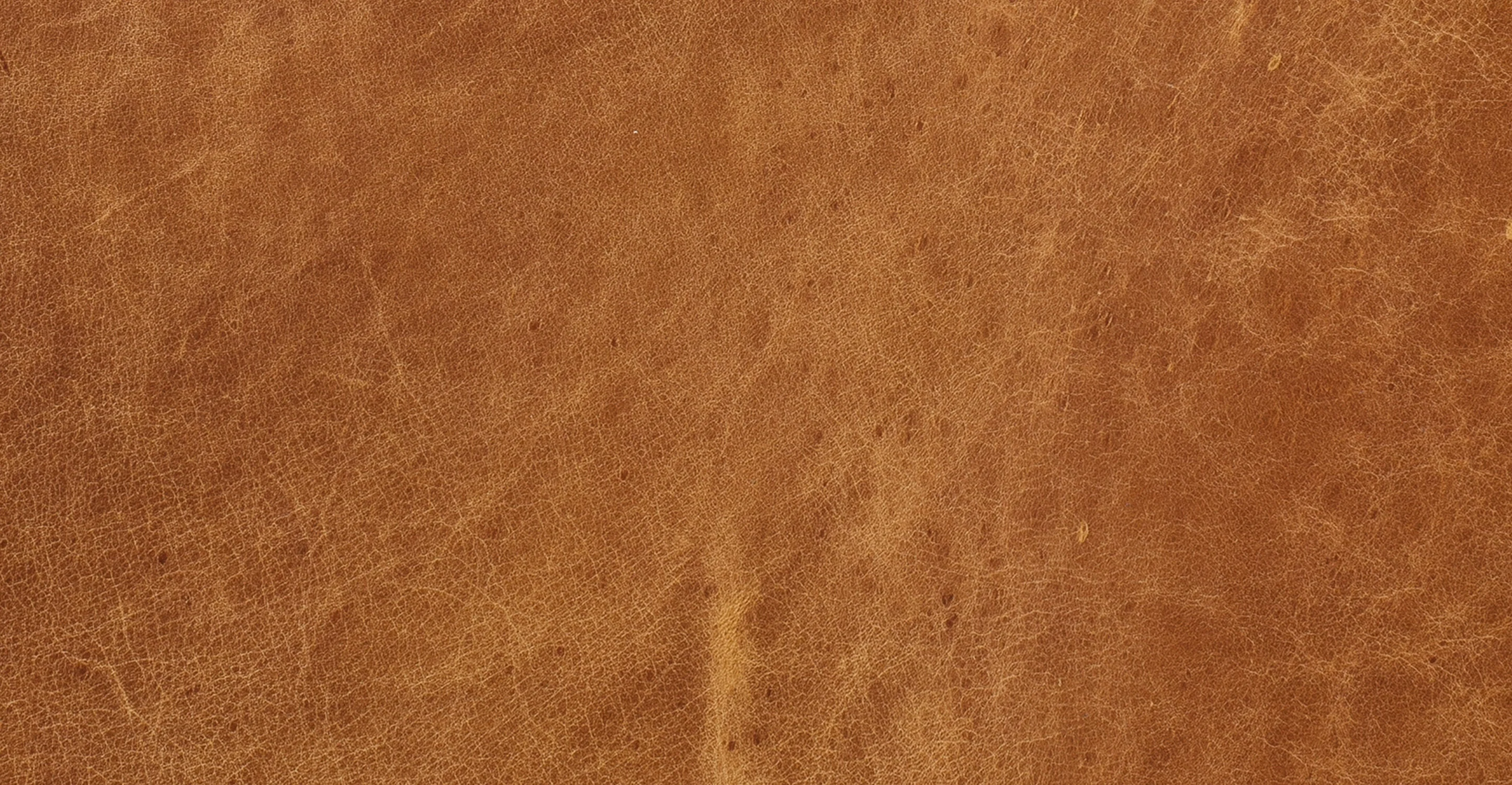 Napa Lounge Chair - Image 13