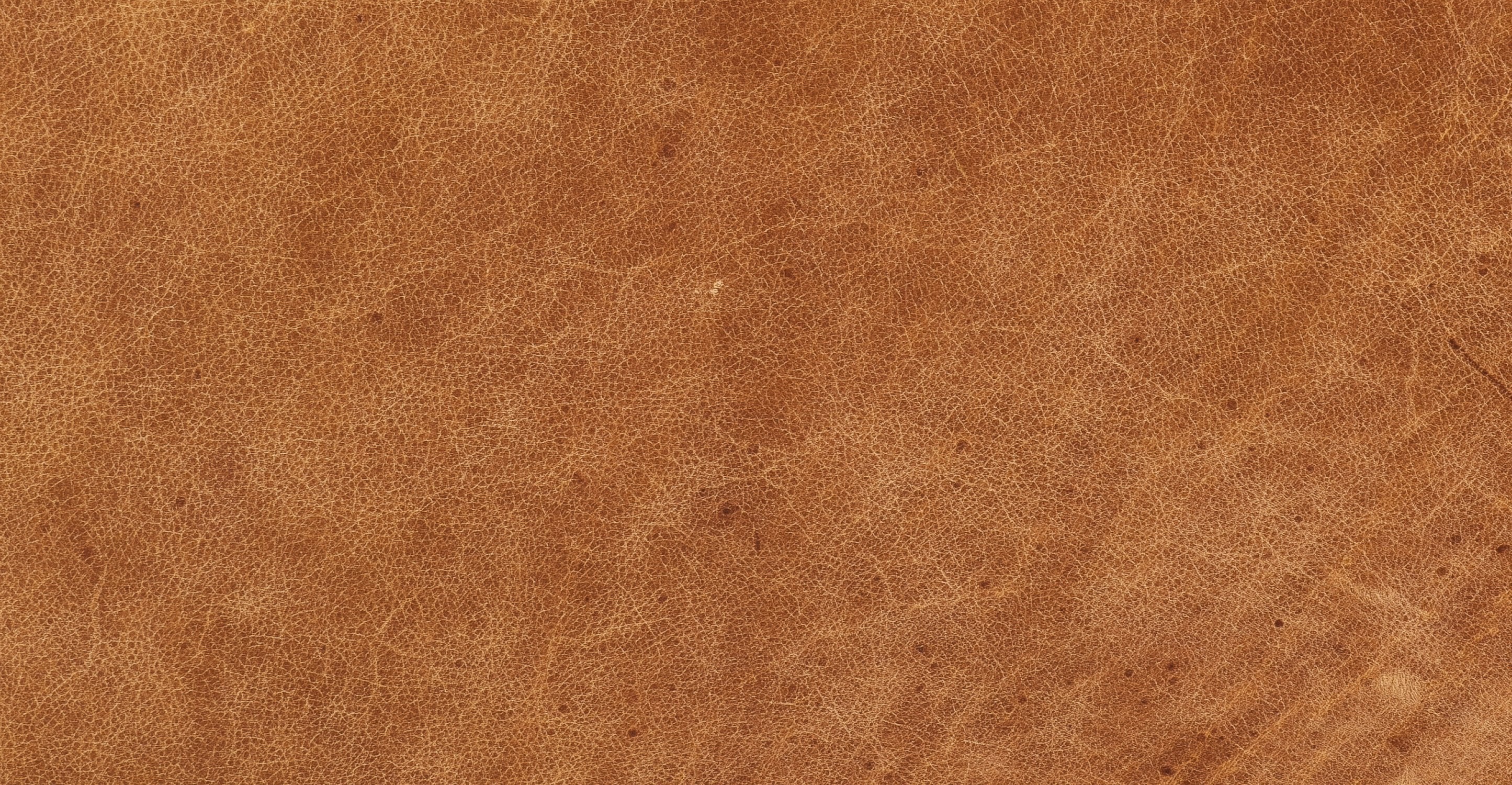 Rowan Lounge Chair - Image 15