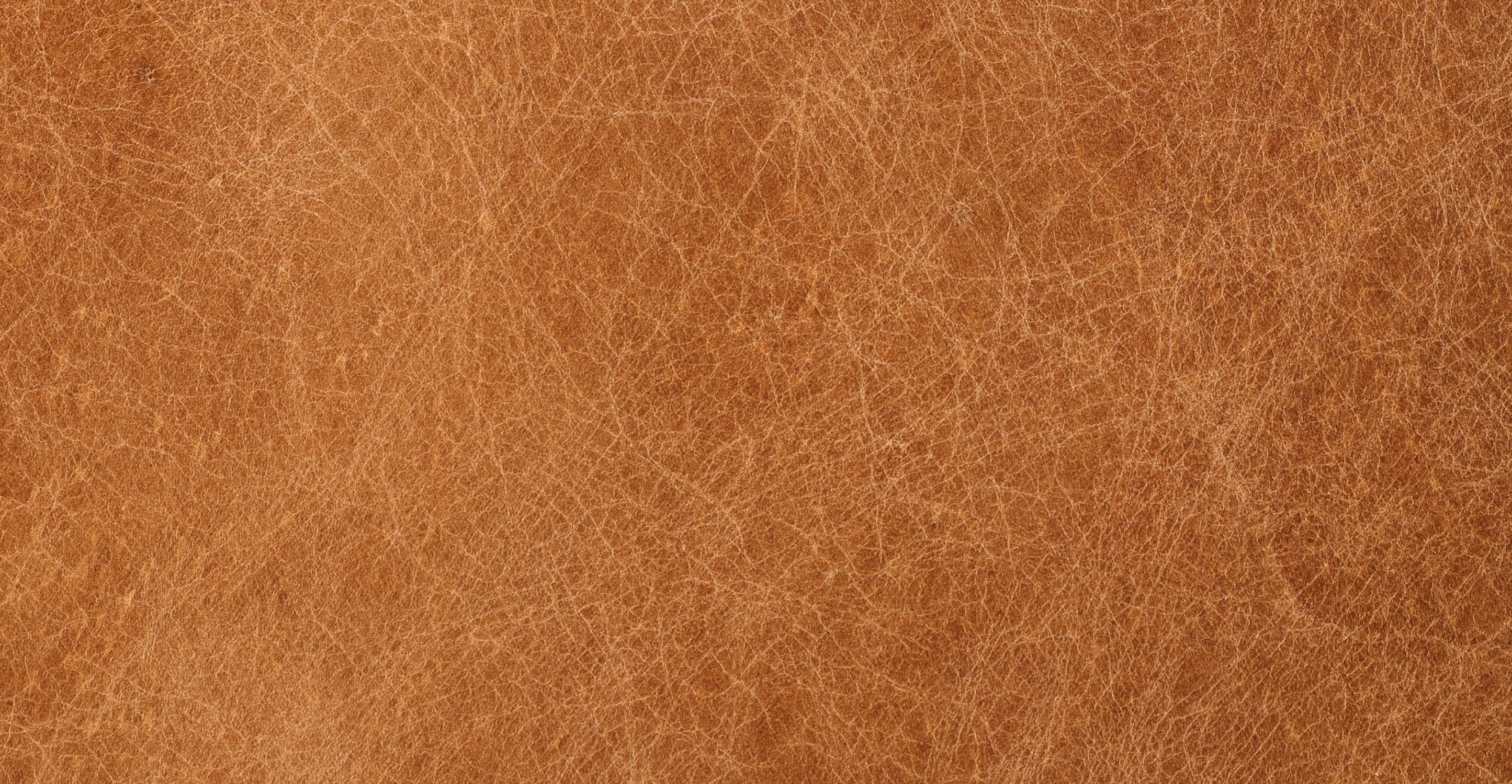 Toscano 89" Sofa - Image 18