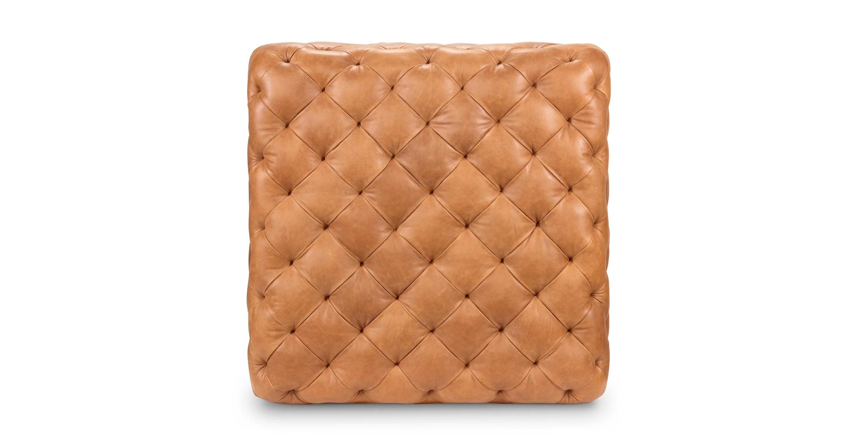 Turin Leather Ottoman - Image 19