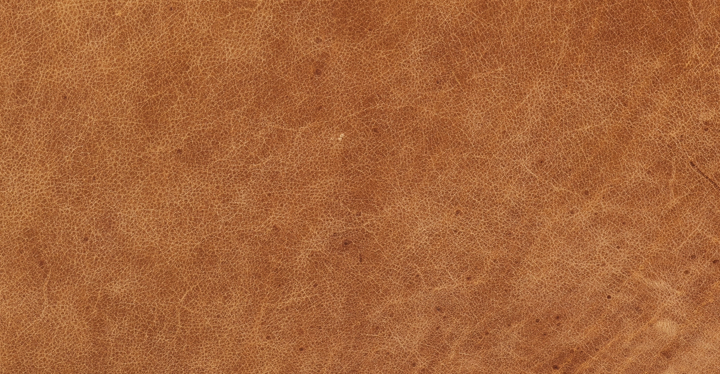 Verity Leather Lounge Chair - Image 25