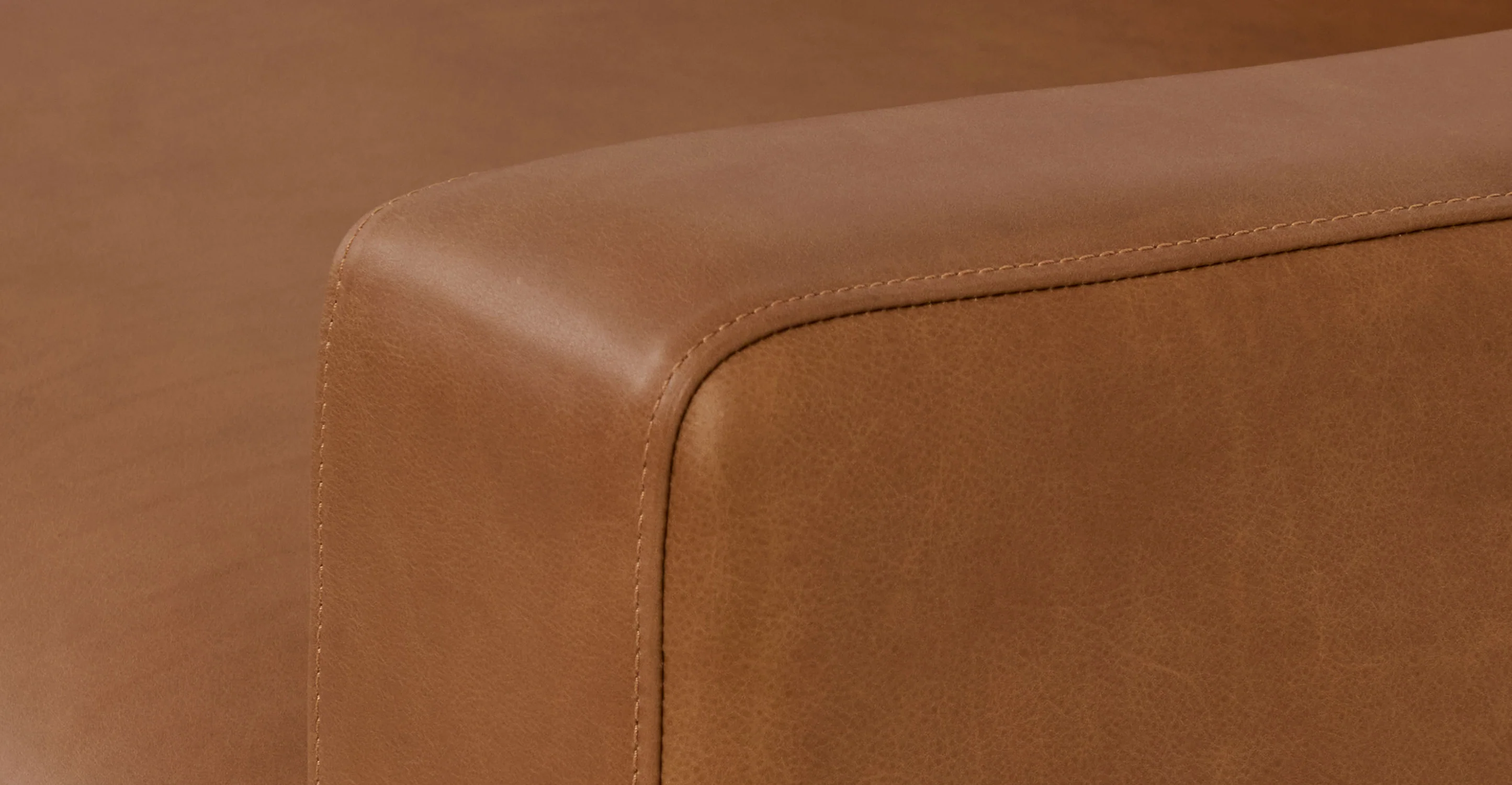 Zyon 75" Leather Apartment Sofa - Image 10