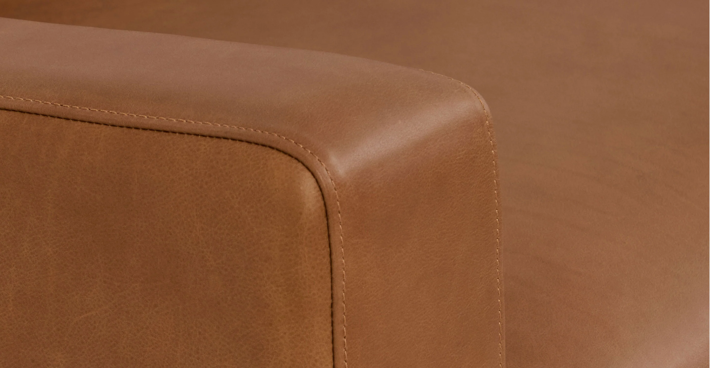 Zyon Leather Right-Facing Bumper Chaise Sectional - Image 12